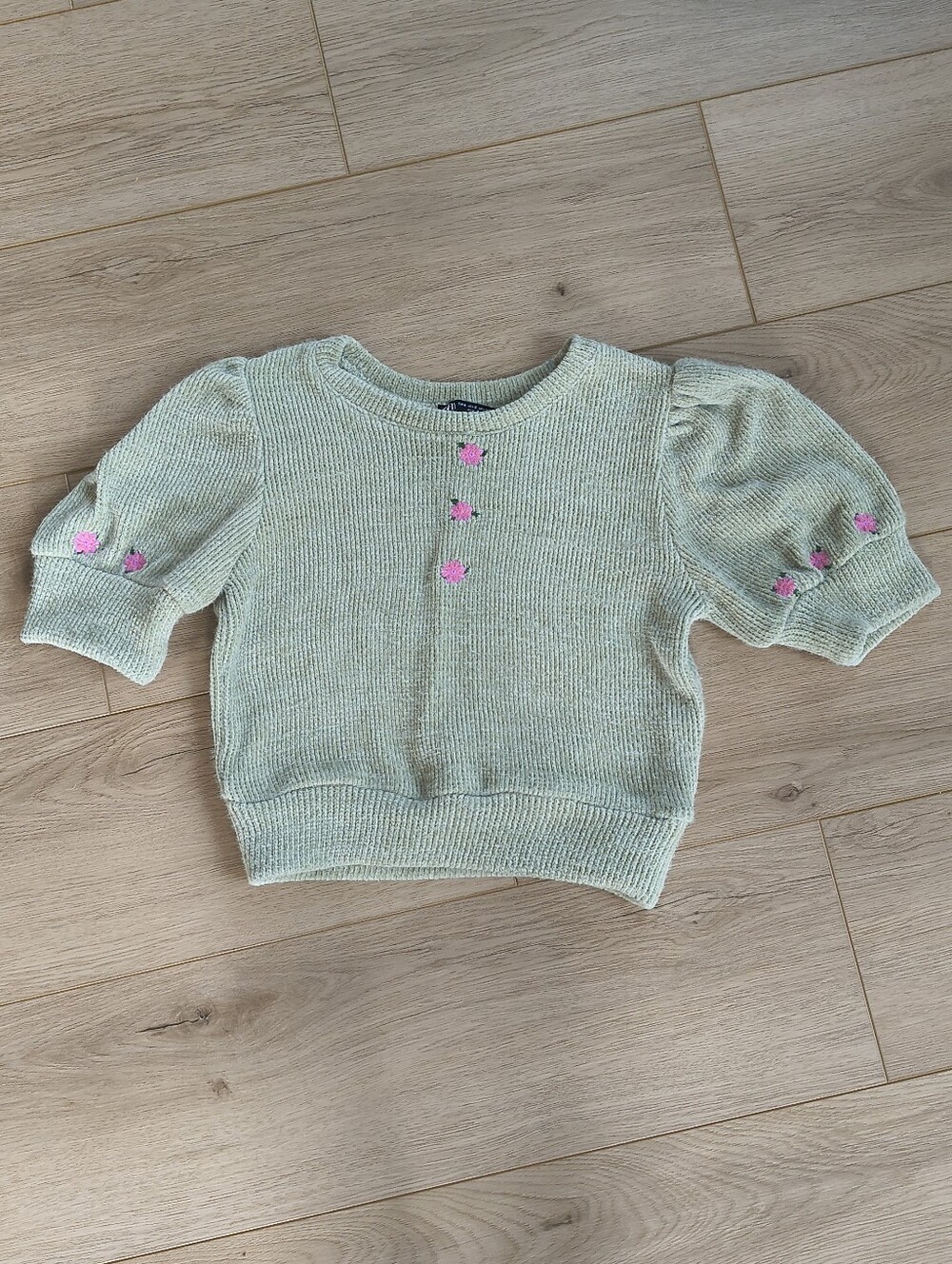 Zara Sage Green Embroidered Puff Sleeve Crop Top | Size Small